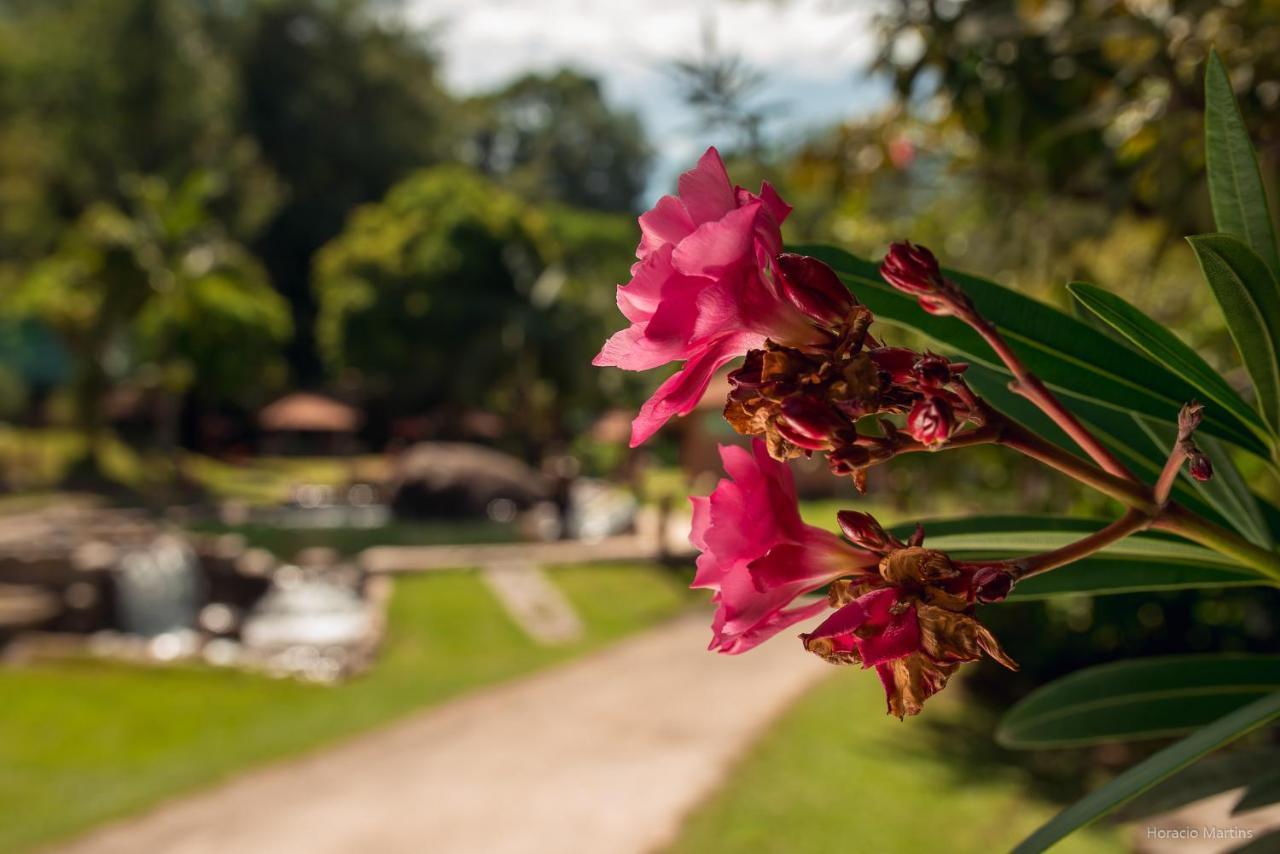 Rancho Do Ze Joao Hotel Лавриняс Екстериор снимка